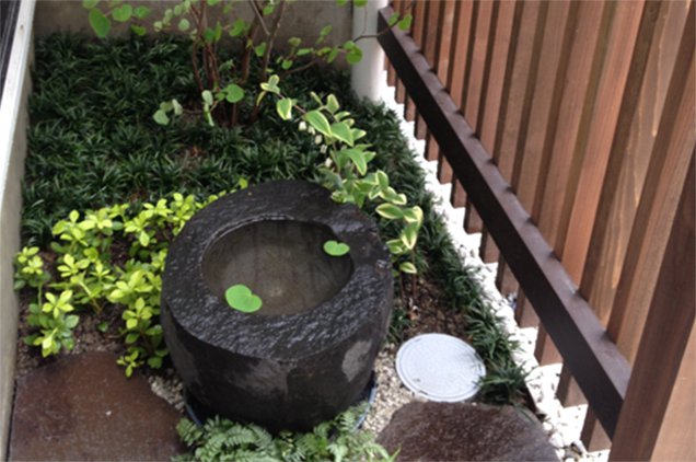レコールブランの観葉植物 お庭の植栽