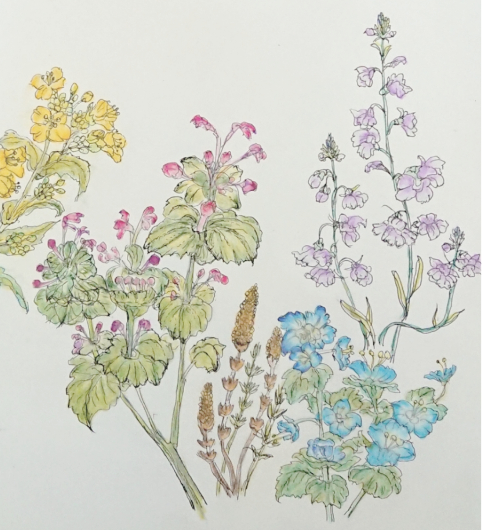 はなごよみ つきごよみ くらしごと第5回 旧暦 如月朔日 新月 名古屋市東区葵 浜松市浜北区のフラワーアトリエ レコールブラン 花束 観葉植物 レッスン ブライダルフラワーなど